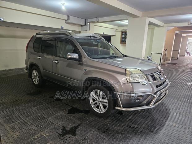 Nissan X-Trail 2.0 Petrol XE 2010 Gray