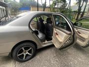 DR DR5 2007 Pearl for sale