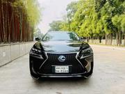 Lexus NX 300h AWD 2014 Black for sale