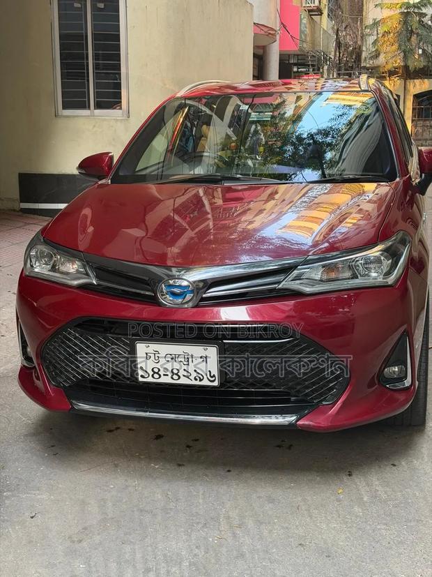 Toyota Axio 2018 Maroon