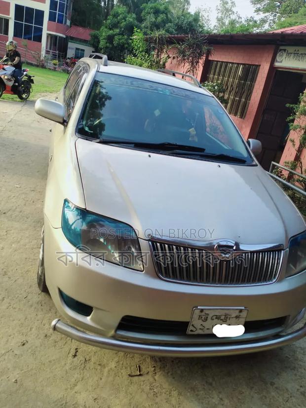 Toyota Corolla Fielder 2004 Beige