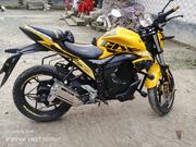 New Suzuki GP 2024 Yellow for sale