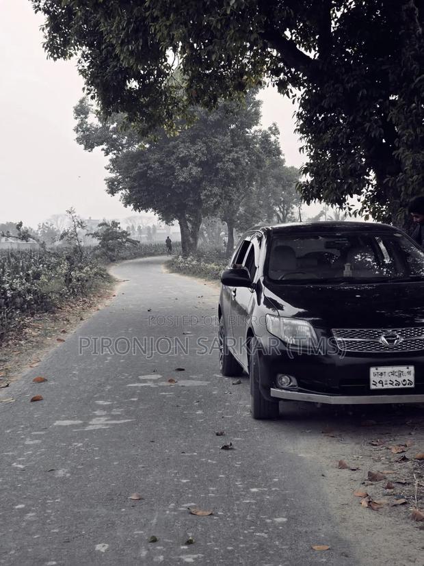 Toyota Corolla Fielder 2007 Black