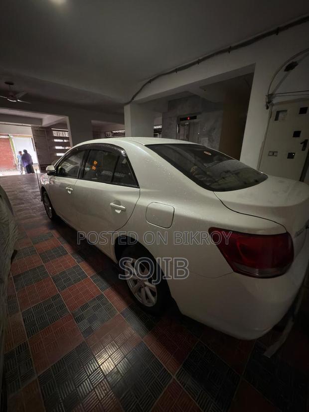 Toyota Allion 2013 Pearl