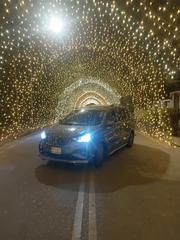 Suzuki Ertiga 2019 Gray for sale