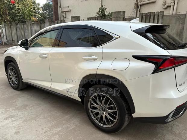 Lexus NX 2019 Pearl