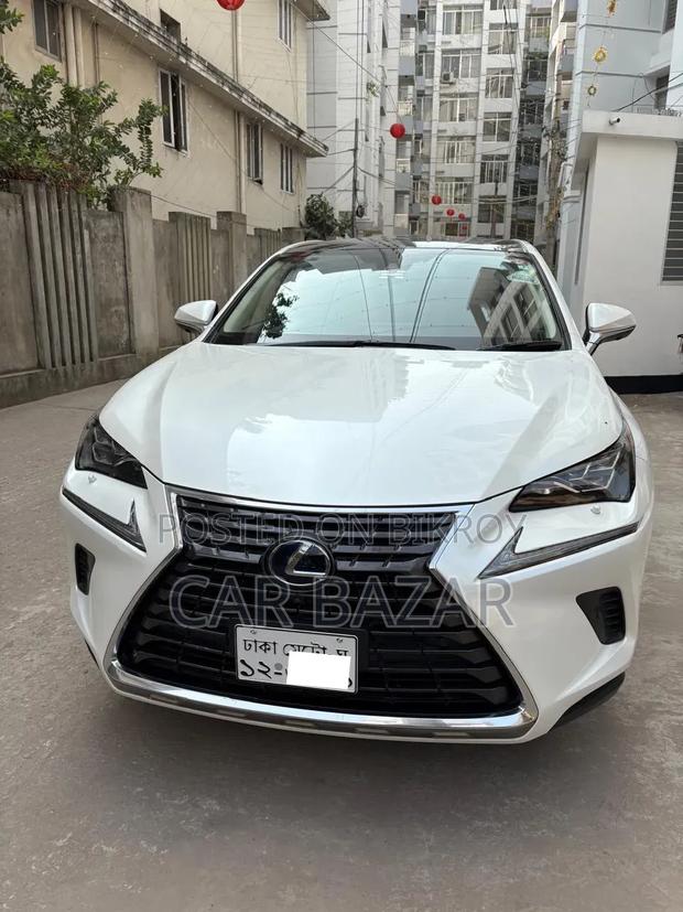 Lexus NX 2019 Pearl