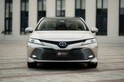 Toyota Camry XLE (2.5L 4cyl 8A) 2019 Beige for sale