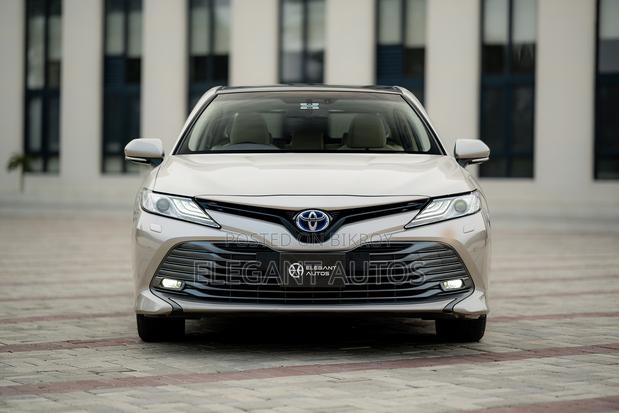 Toyota Camry XLE (2.5L 4cyl 8A) 2019 Gold 