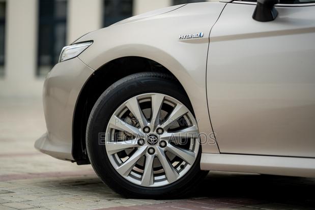 Toyota Camry XLE (2.5L 4cyl 8A) 2019 Gold 
