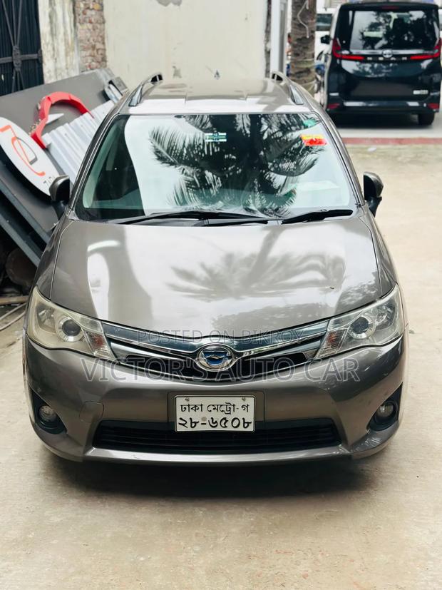 Toyota Axio 2013 Gray
