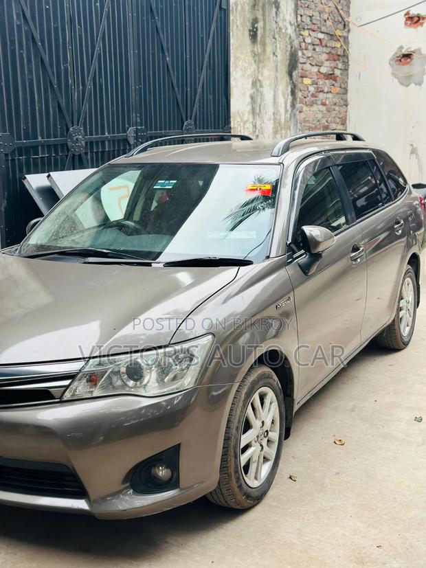 Toyota Axio 2013 Gray