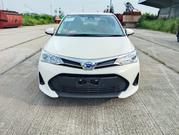 Toyota Axio 2021 White for sale