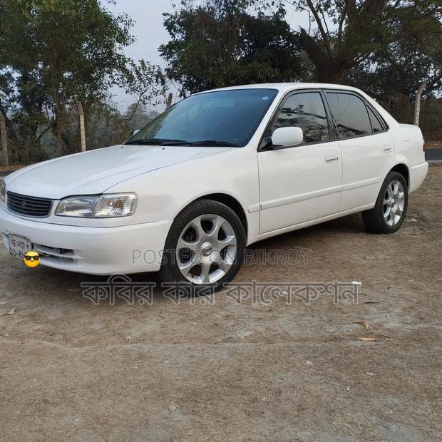 Toyota Corolla 1999 White