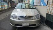 Toyota Corolla 2004 Beige for sale