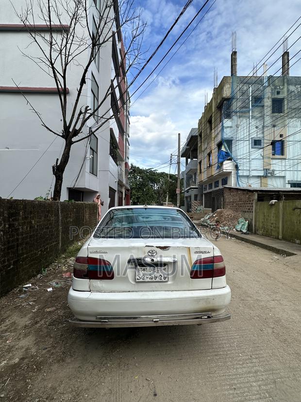 Toyota Corolla 1999 White