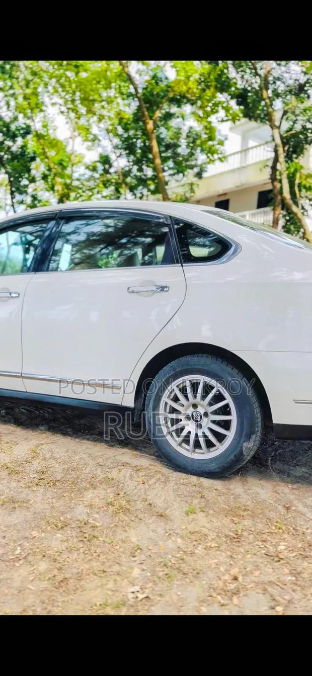 Nissan Bluebird 2005 Pearl