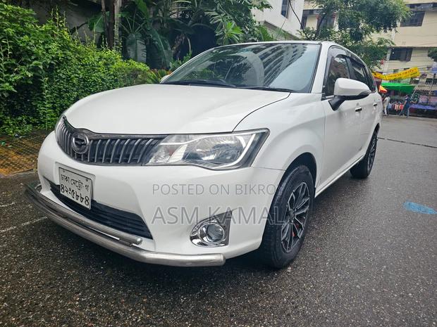 Toyota Axio 2013 Pearl