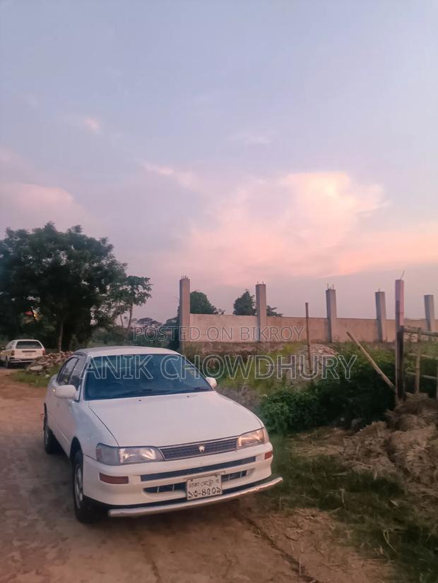 Toyota Corolla 1995 White