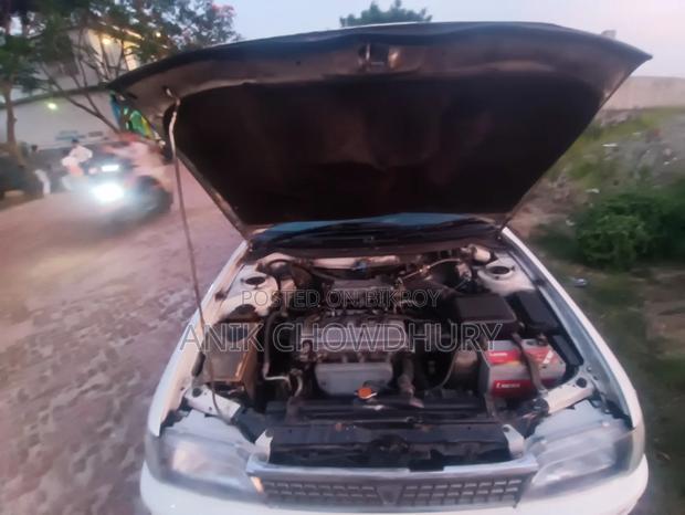 Toyota Corolla 1995 White