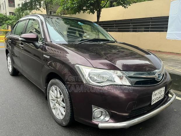 Toyota Axio 2014 Maroon