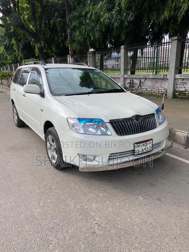 Toyota Corolla Fielder 2005 Pearl
