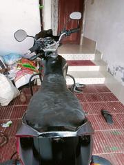 Radar Horizon 2022 Black for sale