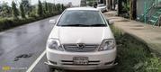 Toyota Corolla 2004 White for sale