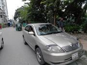 Toyota Corolla 2004 Gold for sale