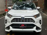 Toyota RAV4 Adventure 2019 Pearl for sale