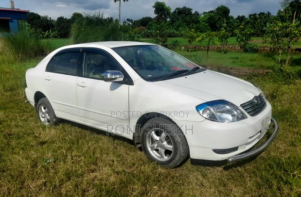 Toyota Corolla 2004 White