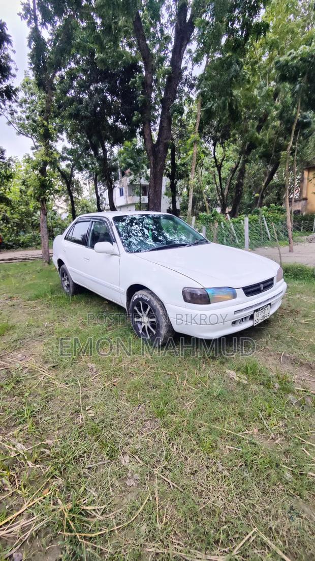 New Toyota Corolla 1995 White