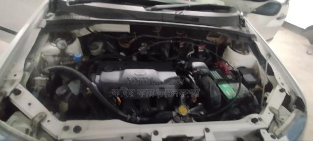 Toyota Succeed 2011 White