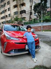 Toyota Prius 2019 Red for sale