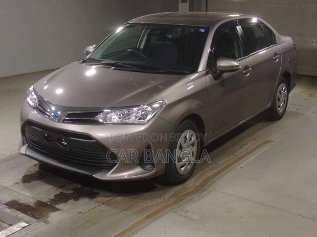 Toyota Axio 2021 Brown