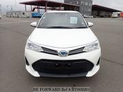 Toyota Corolla Fielder 2021 White for sale