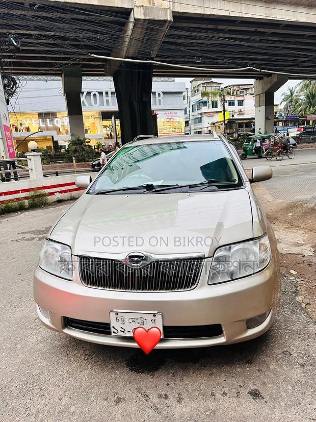 Toyota Corolla Fielder 2005 Gold