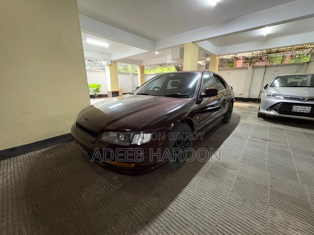 Honda Accord 1997 Maroon
