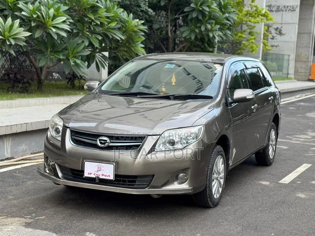 Toyota Axio 2010 Gray