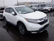 Honda CR-V 2021 Pearl for sale