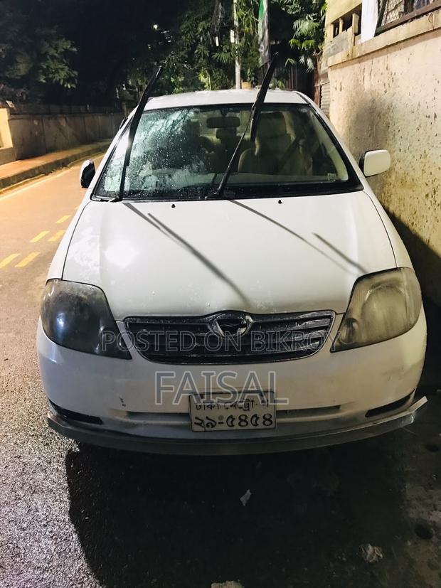 Toyota Corolla 2004 White