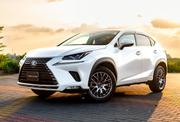 Lexus NX 300h FWD 2019 White for sale