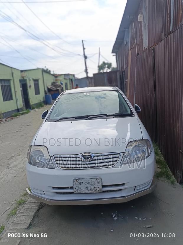 Toyota Corolla 2004 White