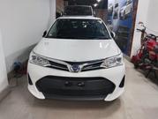 Toyota Corolla Fielder 1.5 Hybrid FWD 2021 White for sale