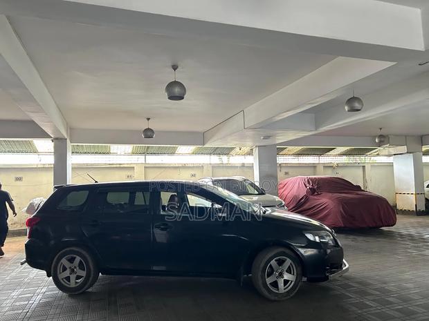 Toyota Corolla Fielder 2008 Black