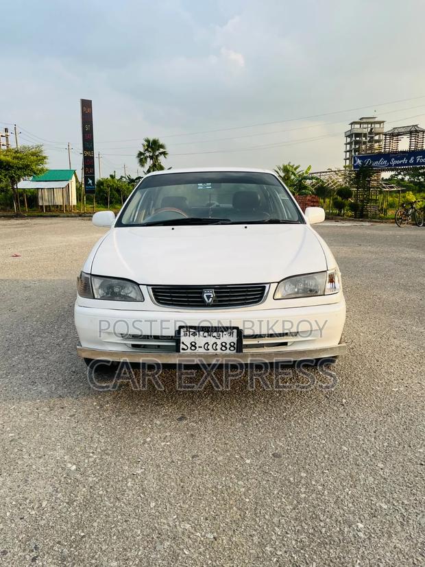 Toyota Corolla 1998 White