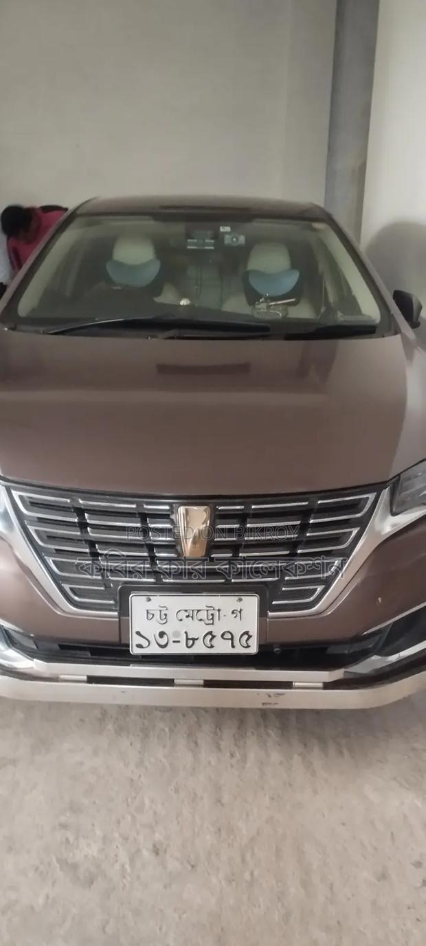Toyota Premio 2017 Brown