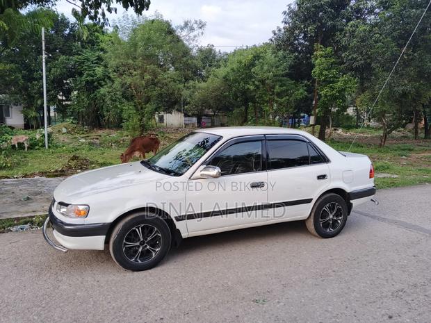Toyota Corolla 1995 White