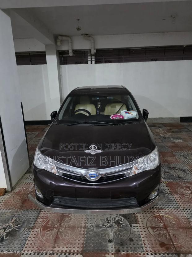 Toyota Axio 2013 Maroon