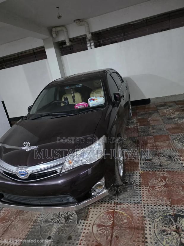 Toyota Axio 2013 Maroon